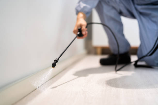 Rodent Entry Point Assessment in Pompano Beach