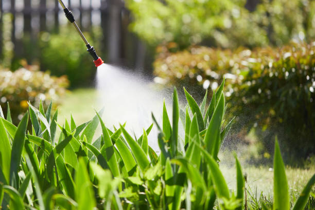 Tamper-Resistant Bait Stations for Rodents in Pompano Beach