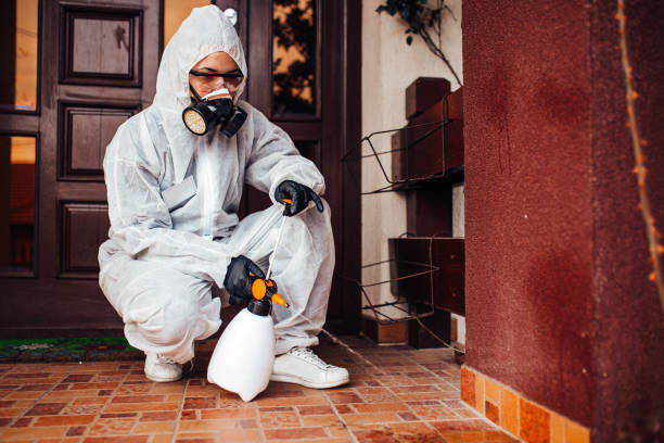 Attic and Crawl Space Rodent Treatment in Pompano Beach
