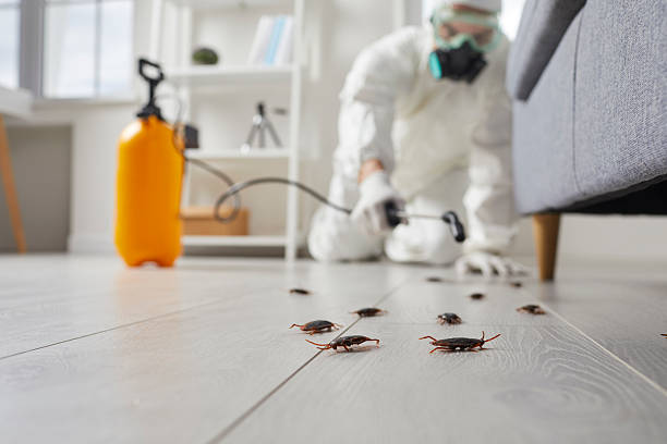 Commercial Rodent Management in Pompano Beach